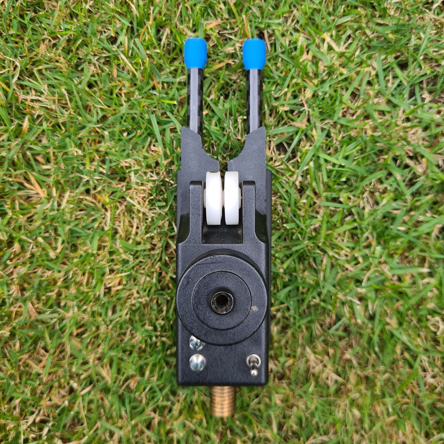 Steve Neville snag ears