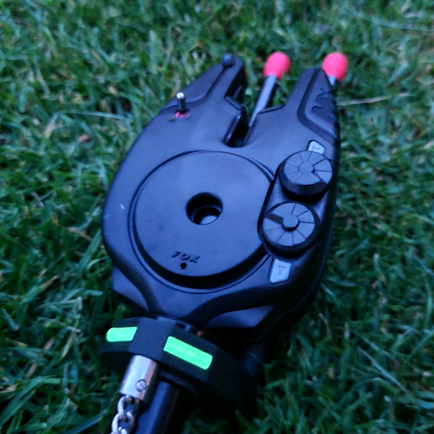 Carp fishing isotope betalights
